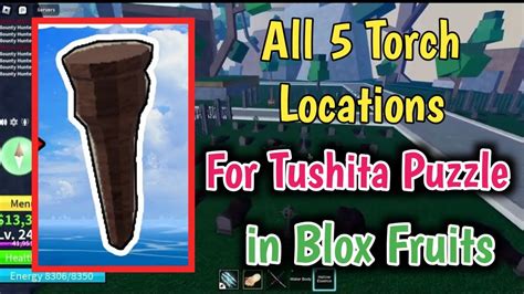 blox fruits tushita puzzle|blox fruits tushita puzzle locations.